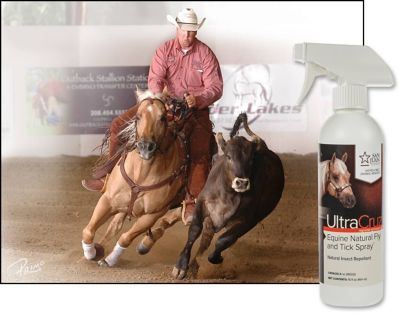 Image showing  Equine Natural Fly and Tick Spray for Horses, 16 oz.