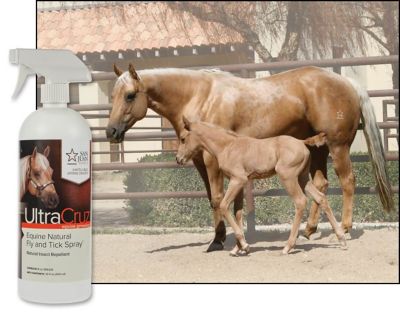 Image showing  Equine Natural Fly and Tick Spray for Horses, 32 oz.
