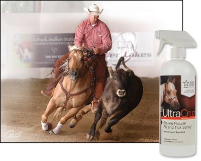 Image showing  Equine Natural Fly and Tick Spray for Horses, 32 oz.