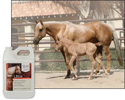 Image showing  Equine Natural Fly and Tick Spray for Horses, 1 gal.