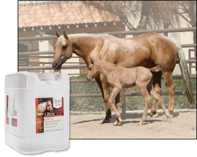 Image showing  Equine Natural Fly and Tick Spray for Horses, 5 gal.