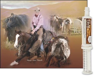 Image showing  Livestock Calming Supplement for Cattle, Goats, Sheep and Pigs, 60 mL (65 g), Paste