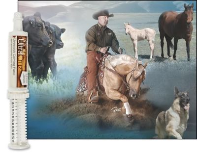 Image showing  Livestock Calming Supplement for Cattle, Goats, Sheep and Pigs, 60 mL (65 g), Paste