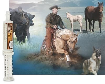 Image showing  Livestock Probiotic Paste Supplement for Cattle, Goats, Sheep and Pigs, 60 mL (60 g), Paste, 4-Day Supply