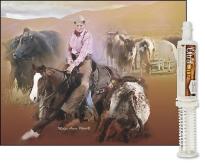 Image showing  Livestock Probiotic Paste Supplement for Cattle, Goats, Sheep and Pigs, 60 mL (60 g), Paste, 4-Day Supply