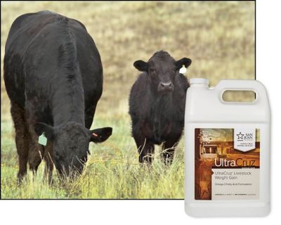 Image showing  Livestock Weight Gain Supplement for Cattle, Goats, Sheep and Pigs, 1 gal., 32-Day Supply, Liquid