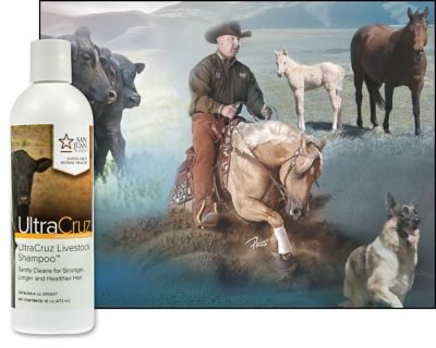 Image showing  Livestock Shampoo for Cattle, Goats, Sheep and Pigs, 16 oz