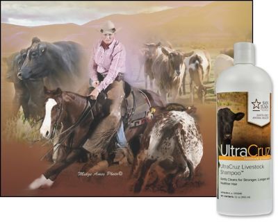 Image showing  Livestock Shampoo for Cattle, Goats, Sheep and Pigs