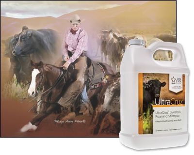 Image showing  Livestock Foaming Shampoo for Cattle, Goats, Sheep and Pigs, 1 gallon, Livestock Foaming Shampoo refill