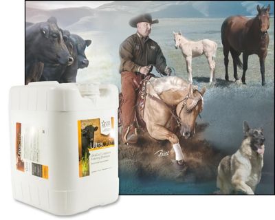 Image showing  Livestock Foaming Shampoo for Cattle, Goats, Sheep and Pigs, 5 gal.