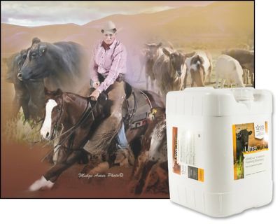 Image showing  Livestock Foaming Shampoo for Cattle, Goats, Sheep and Pigs, 5 gal.
