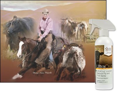 Image showing  Livestock Natural Fly and Tick Spray for Cattle, Goats, Sheep and Pigs, 16 oz. Spray