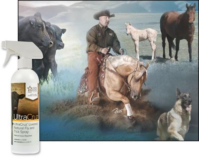 Image showing  Livestock Natural Fly and Tick Spray for Cattle, Goats, Sheep and Pigs, 16 oz. Spray