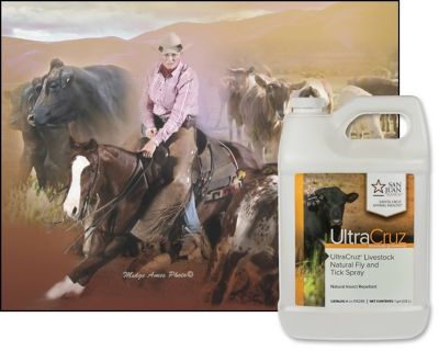 Image showing  Livestock Natural Fly and Tick Spray for Cattle, Goats, Sheep and Pigs, 1 gal. Refill