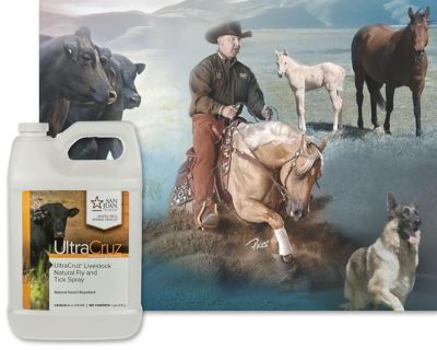 Image showing  Livestock Natural Fly and Tick Spray for Cattle, Goats, Sheep and Pigs, 1 gal. Refill