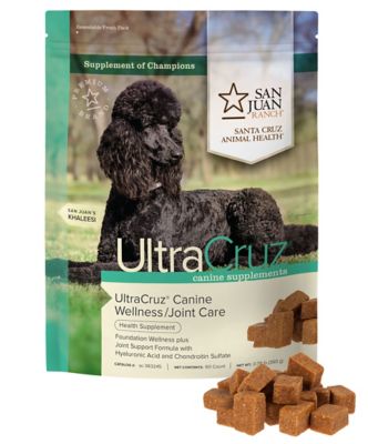 Image showing  Canine Wellness/Joint Supplement for Dogs, 60 ct.