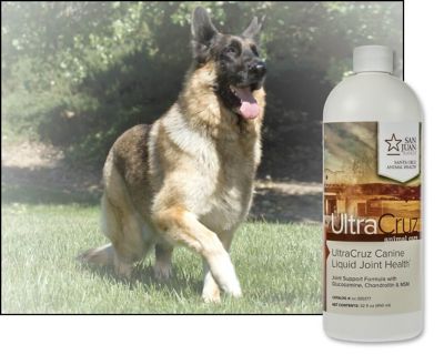 Image showing  Canine Liquid Joint Health Supplement for Dogs, 32 oz.