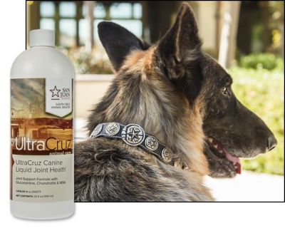 Image showing  Canine Liquid Joint Health Supplement for Dogs, 32 oz.