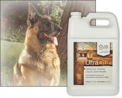 Image showing  Canine Liquid Joint Health Supplement Refill for Dogs, 1 gal.