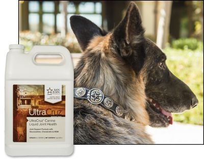 Image showing  Canine Liquid Joint Health Supplement Refill for Dogs, 1 gal.