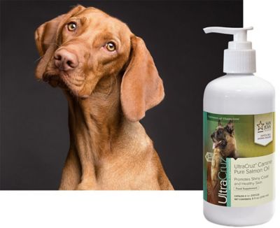 Image showing  Canine Pure Salmon Oil Supplement for Dogs, 8 oz.