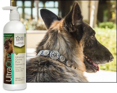 Image showing  Canine Pure Salmon Oil Supplement for Dogs, 16 oz.