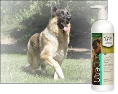 Image showing  Canine Pure Salmon Oil Supplement for Dogs, 16 oz.