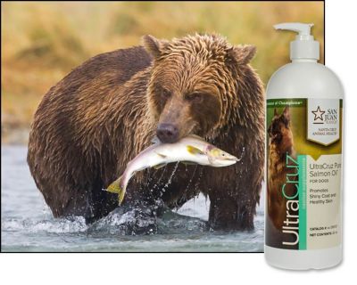 Image showing  Canine Pure Salmon Oil Supplement for Dogs, 32 oz.