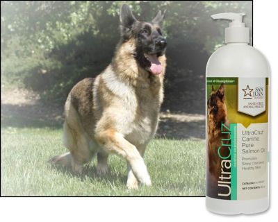Image showing  Canine Pure Salmon Oil Supplement for Dogs, 32 oz.
