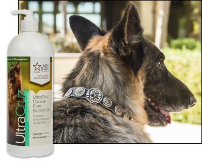 Image showing  Canine Pure Salmon Oil Supplement for Dogs, 32 oz.