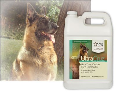 Image showing  Canine Pure Salmon Oil Supplement for Dogs, 1 gal.