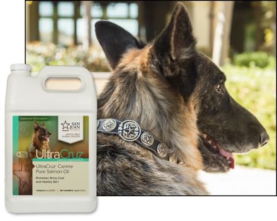 Image showing  Canine Pure Salmon Oil Supplement for Dogs, 1 gal.