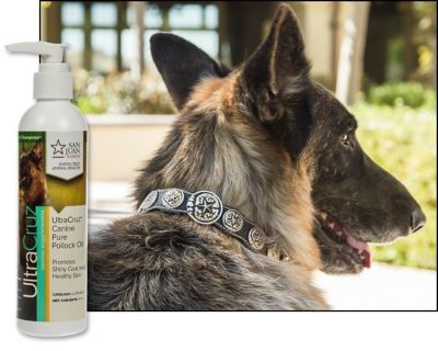 Image showing  Canine Pure Pollock Oil Supplement for Dogs, 8 oz.
