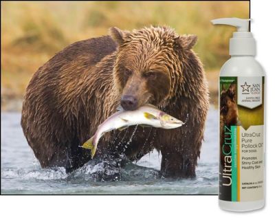 Image showing  Canine Pure Pollock Oil Supplement for Dogs, 8 oz.