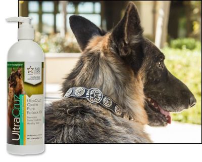 Image showing  Canine Pure Pollock Oil Supplement for Dogs, 16 oz.