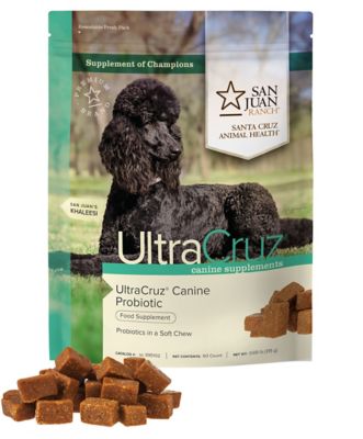 Image showing  Canine Probiotic Supplement for Dogs, 60 ct.