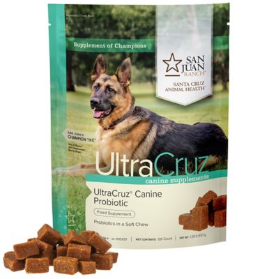 Image showing  Canine Probiotic Supplement for Dogs, 120 ct.