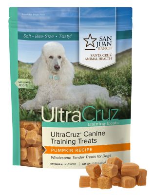 Image showing  Pumpkin Recipe Dog Training Treats, 80 ct.