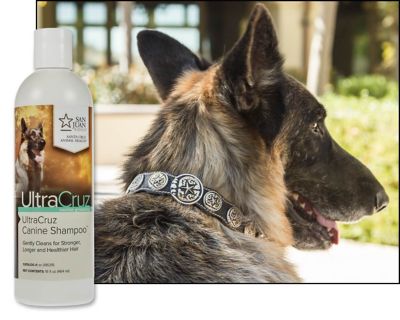 Image showing  Canine Sage/Lavender Scented Shampoo for Dogs, 16 oz.