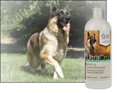 Image showing  Canine Sage/Lavender Scented Shampoo for Dogs, 32 oz.