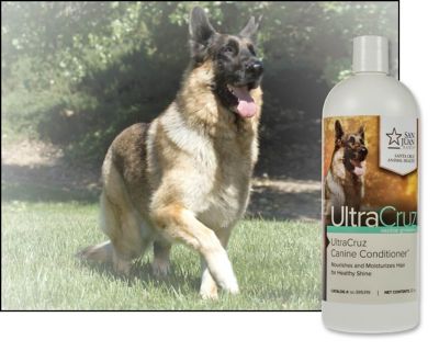 Image showing  Canine Conditioner for Dogs, 32 oz.