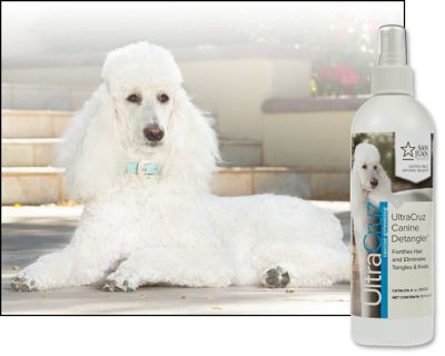 Image showing  Canine Hair Detangler for Dogs, 16 oz.