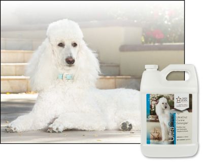 Image showing  Canine Hair Detangler for Dogs, 1 gal.
