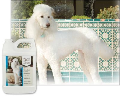 Image showing  Canine Hair Detangler for Dogs, 1 gal.