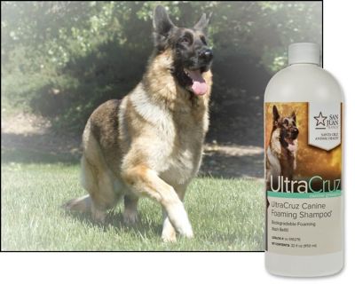 Image showing  Canine Foaming Natural Essential Oils Scented Shampoo for Dogs, 32 oz.