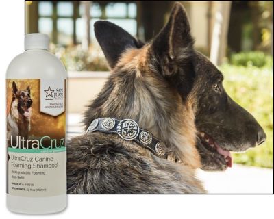 Image showing  Canine Foaming Natural Essential Oils Scented Shampoo for Dogs, 32 oz.