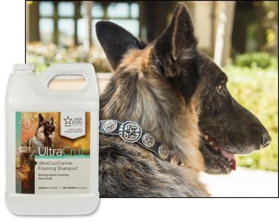 Image showing  Canine Foaming Natural Essential Oils Scented Shampoo for Dogs, 1 gal.