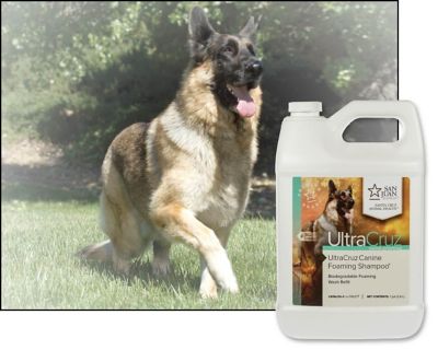 Image showing  Canine Foaming Natural Essential Oils Scented Shampoo for Dogs, 1 gal.