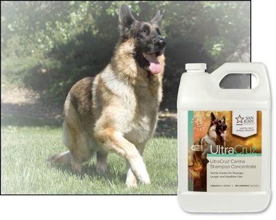 Image showing  Sage/Lavender Scented Shampoo Concentrate for Dogs, 1 gal.