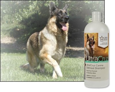 Image showing  Canine Oatmeal Shampoo for Dogs, 32 oz.